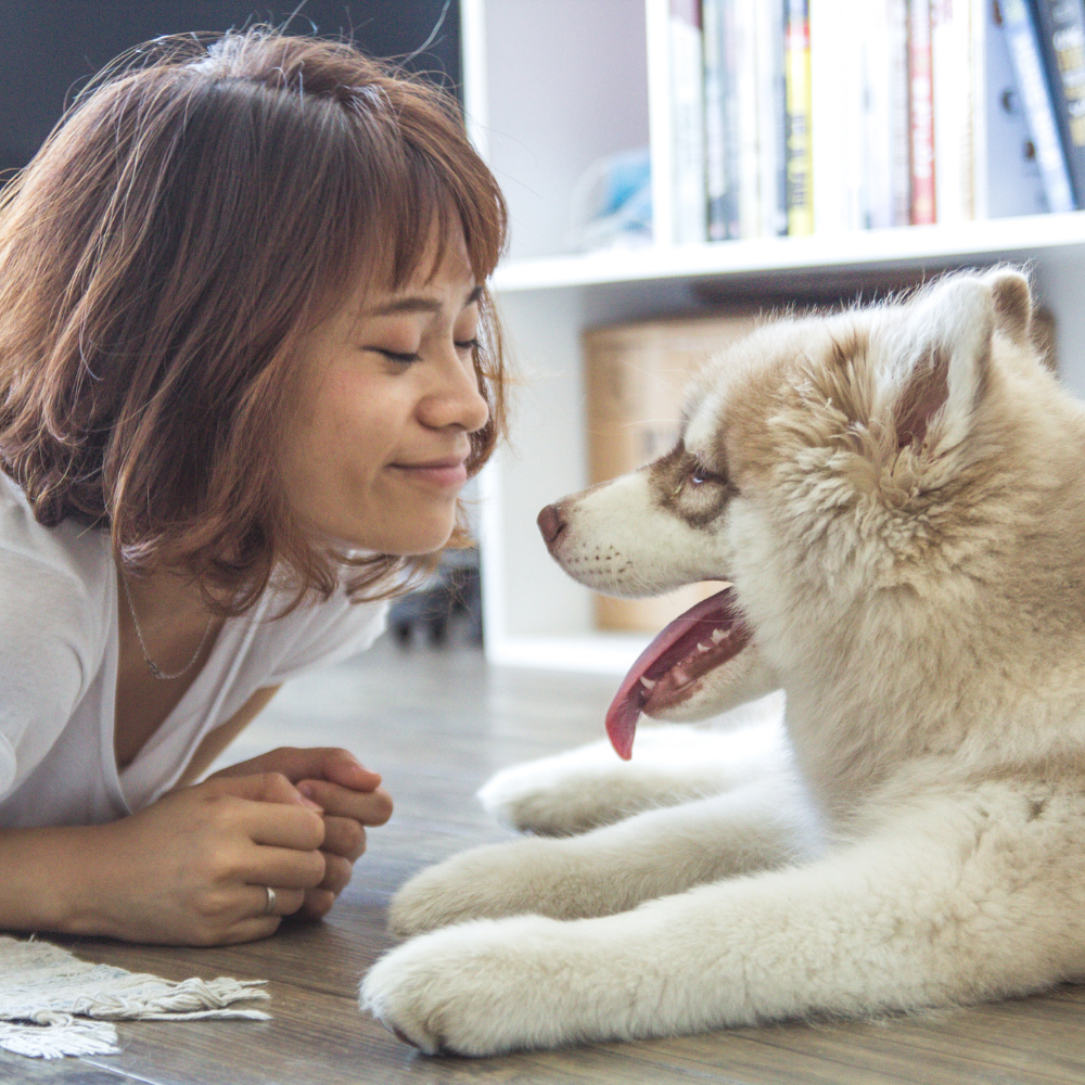 Pet Parents